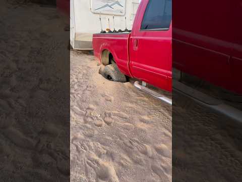 Double Whoopsie in Glamis