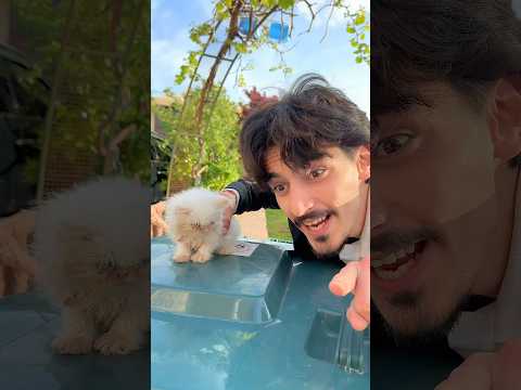 My Cat Went Out With His Friends ๐ฑ I Was Shocked !!