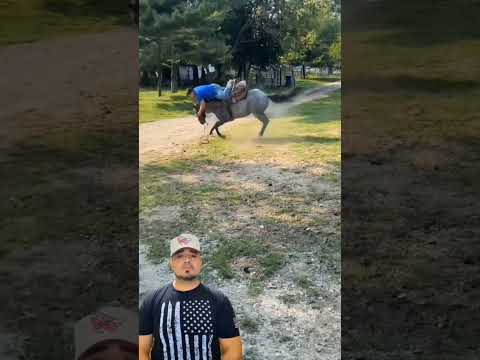 pobre caballito😅
