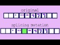 Understanding Protein Synthesis and Splicing