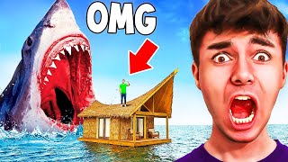 Le PERSONE più FORTUNATE del MONDO! 🦈