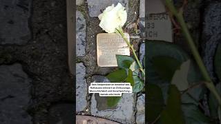 Reichspogromgedenken. Gedenkstunde auf dem Jüdischen Friedhof: 10.11 um 11 Uhr #weremember