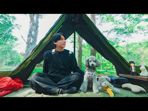 🐶愛犬と涼しい山奥で夏キャンプ⛺️スケスケテントで自然に癒される1日