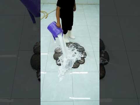asmr carpetcleaning #satisfying