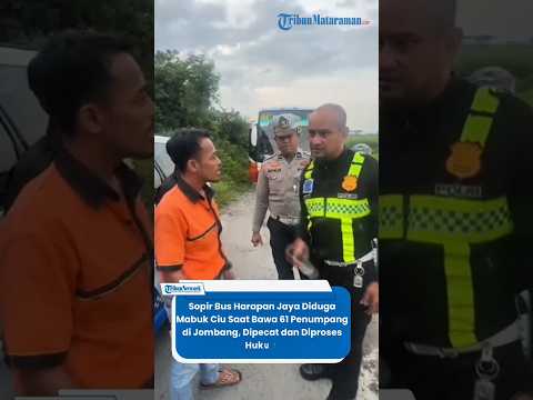 Sopir Bus Harapan Jaya Diduga Mabuk Ciu Saat Bawa Penumpang di Jombang, Dipecat dan Diproses Hukum