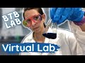 Carbon Dioxide Production in Respiration