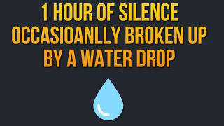 1 Hour of Silence Occasionally Broken up by a Water Drop Sound Effect