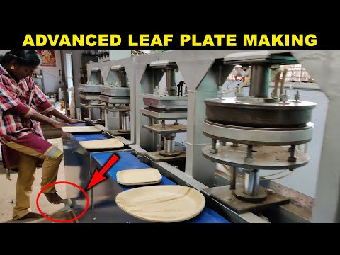 HOW? Areca Leaf Plates Making | Disposable and Bio-Degradable | Factory Explorer