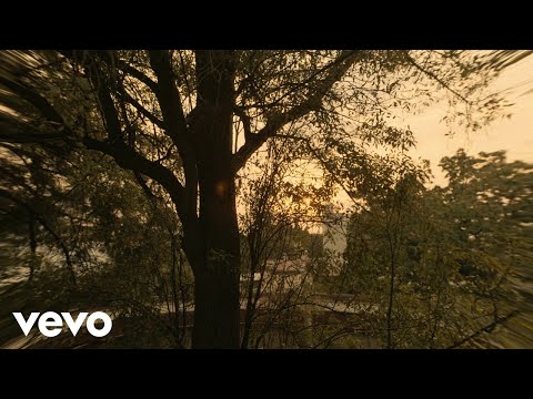 José Madero - Suspira sobre mí (Visualizer)
