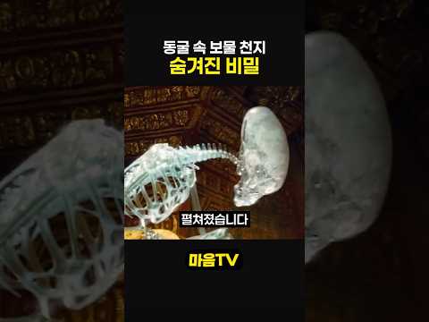 동굴 속 보물 천지 숨겨진 비밀