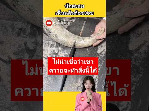 ผลิตภัณฑ์จากเขาควาย #กำลังฮิต #สาระ #diy #ความรู้ #ไอเดีย #amazing #shorts #อินเดีย