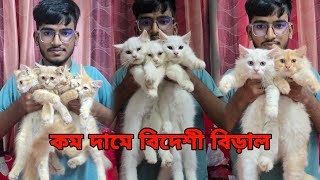 কম দামে পার্সিয়ান বিড়াল_Persian cat price BD_Mixed breed cat, bengal  cat farm in bd_biraler dam