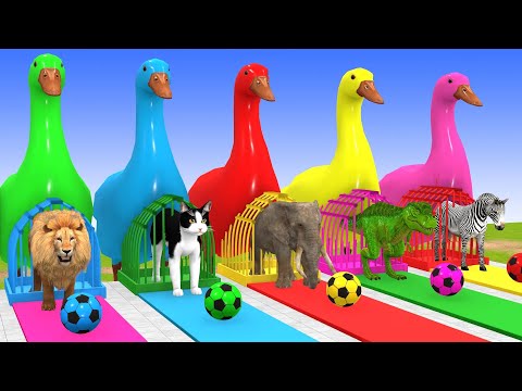 Long Slide Game With Dino Elephant Gorilla Hippopotamus Tiger - 3d Animal Game - Funny 3d Animals
