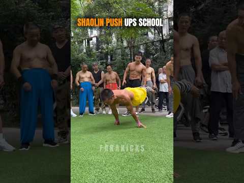 Shaolin push ups school 💀 #pushups #shaolin #training #martialarts #usa