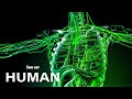 Lymphatic System Concepts and Functions