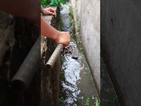 Mancing Di Pinggir Jalan raya dapat ikan korban banjir