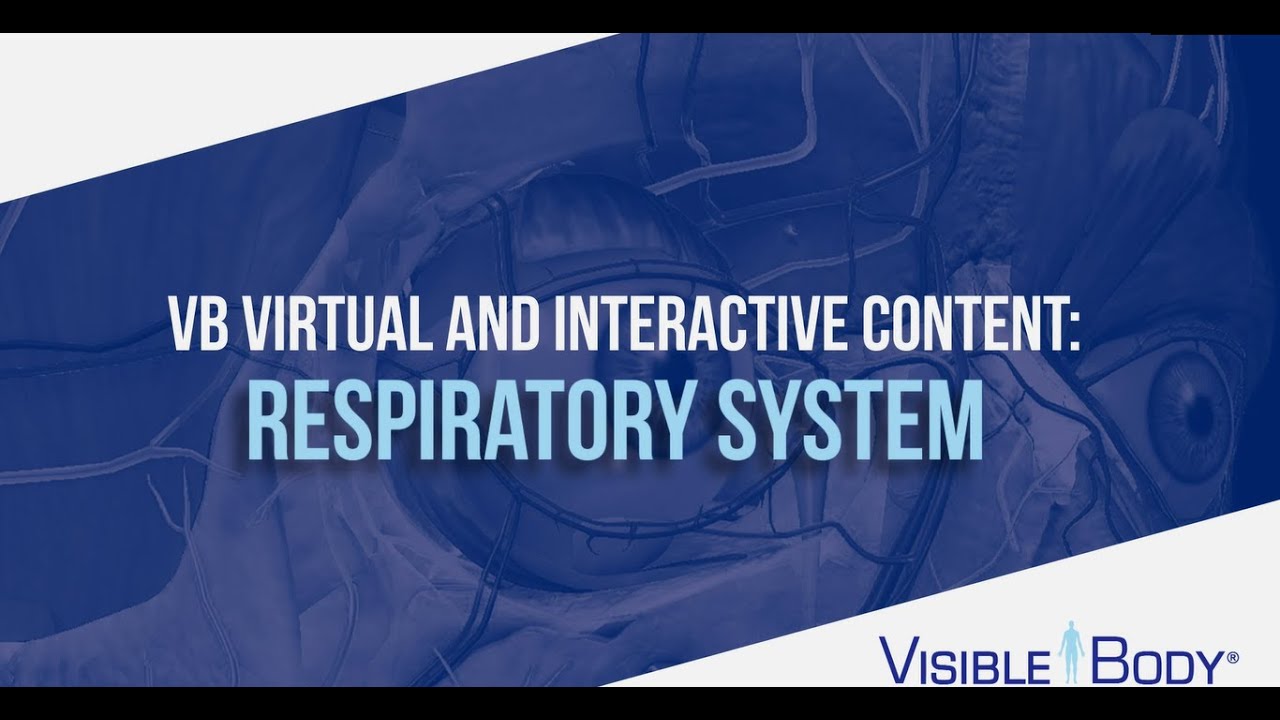 Virtual Lab Respiratory System: Exploring the Depths of Human Breathing