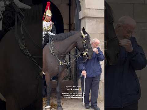 King’s Horse Chest Bump an Elderly Gent