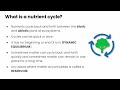 Nutrient Cycles and Ecosystem Dynamics