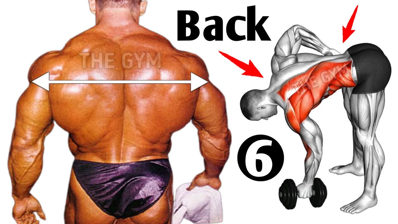 6 Best Exercise For Big Back – Back Workout At Gym
