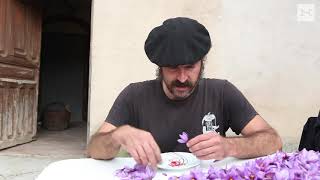 The Saviors of Saffron