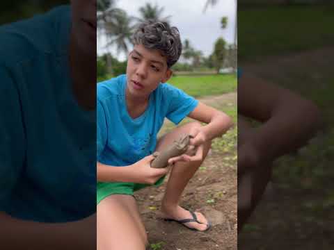 Passou por cima com a moto nos geladinhos  de barro ! PARTE 1