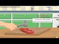 Meat Tenderizing Techniques