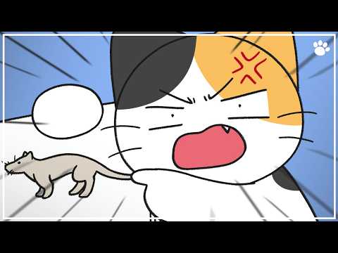99%는 몰랐던 이야기! 강아지 고양이 조상이 같다고?