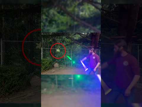Fighting Light Sabers Hanging From A Tree (@izoshua / ig)