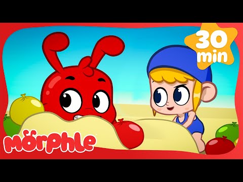 Morphle's Beach Water Balloon fight 💦 | Fun Animal Cartoons