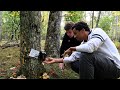 Camera Trapping Project Insights