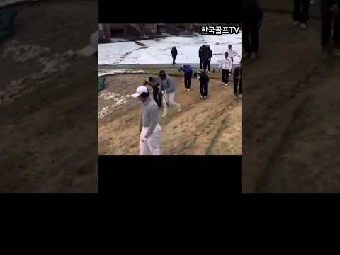 훈련하고있는것인지? 아시는분 있나요!##한국골프신문 #골프 #골프스타 #골프스윙 #골프레슨 #아름다운골프장