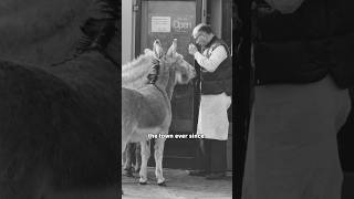 The Colorado Town Where Donkeys Roam Free…