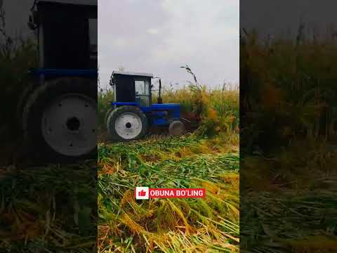 T 28 Traktori Shupurgi O‘rmoqda Jatkada # Obuna bo'lishni unutmang  #mtz82