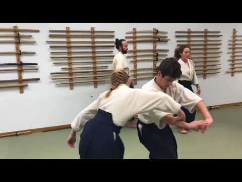 Free Aikido Training Videos 08 2021
