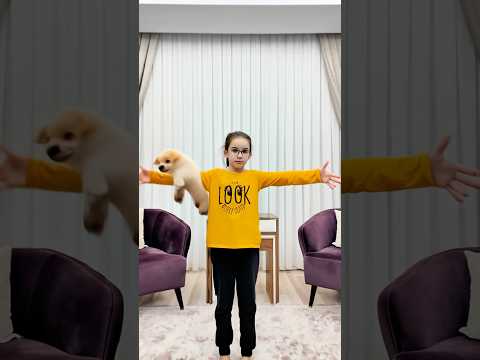 Zeynep’in Yeni Köpekleri! 🤣😱🌈✅💚❤️💜