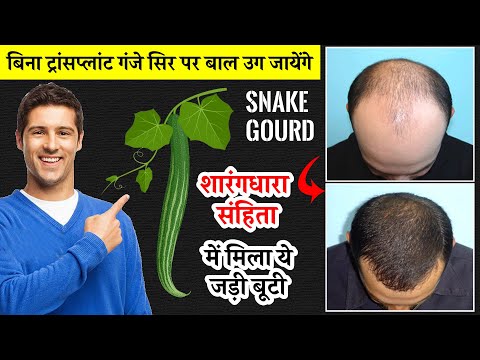 snake gourd benefits for hair growth || चिचिण्डा || Trichosanthes cucumerina benefits for hair