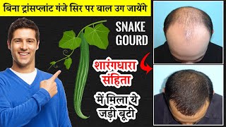 snake gourd benefits for hair growth || चिचिण्डा || Trichosanthes cucumerina benefits for hair