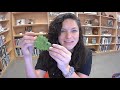 Becoming a Tree Detective