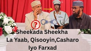 Waxaa Iigu Naxdin Badneey Maalintii Anigoo Cashar Aqrinaya Taariikhda Cilmibare Dr Sh Aadan Bardaale