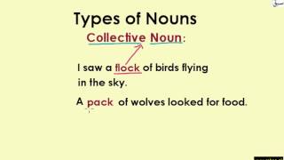 Collective Nouns (explanation with examples)