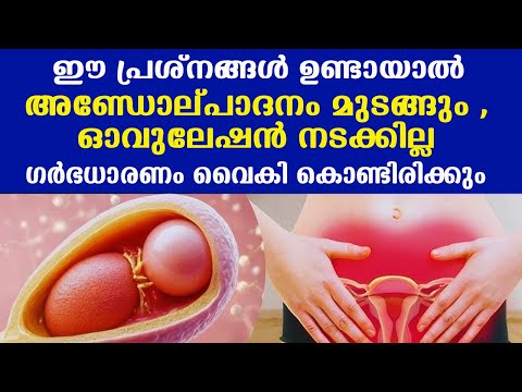 ഈ പ്രശ്നങ്ങള്‍ ഉണ്ടായാല്‍ അണ്ഡോല്പാദനം മുടങ്ങും , ഓവുലേഷന്‍ നടക്കില്ല  ഗര്‍ഭധാരണം വൈകി കൊണ്ടിരിക്കും