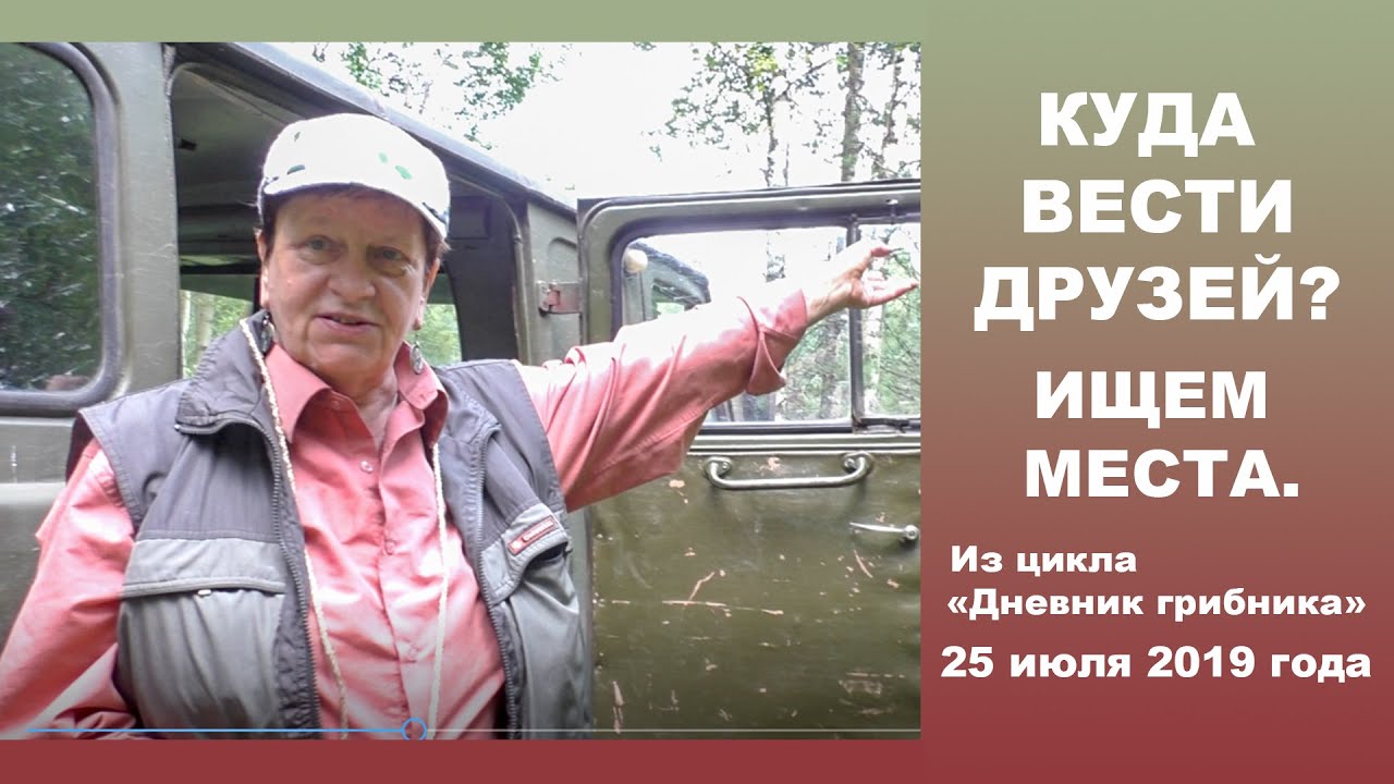 Куда вести друзей? Ищем места. 25 июля 2019 года