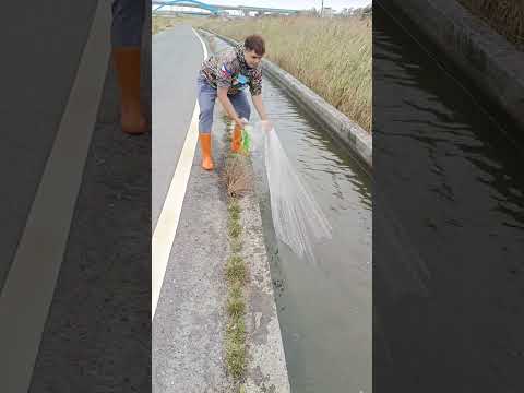 AMAZING FASTER CASTING #fishing #amazing #shorts #unbelievable