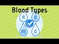 Understanding Blood Types and Antigens