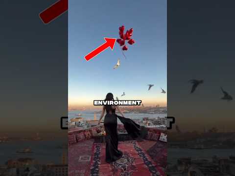 She Let the Balloons Fly 😳