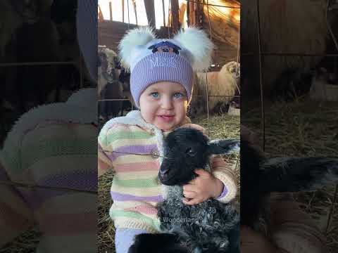 Farm kids#animal#animallover#farm#farmlife#kids #fyp