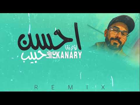احسن حبيب لؤي نانا ريمكس ديجي كناري
