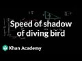 Shadow Movement and Owl Dynamics