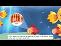 Animal Breathing Mechanisms